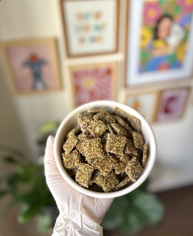 بیسکویت سگ و گربه با طعم سیرابی و سبزیجات